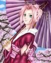 1. poze cu sakura