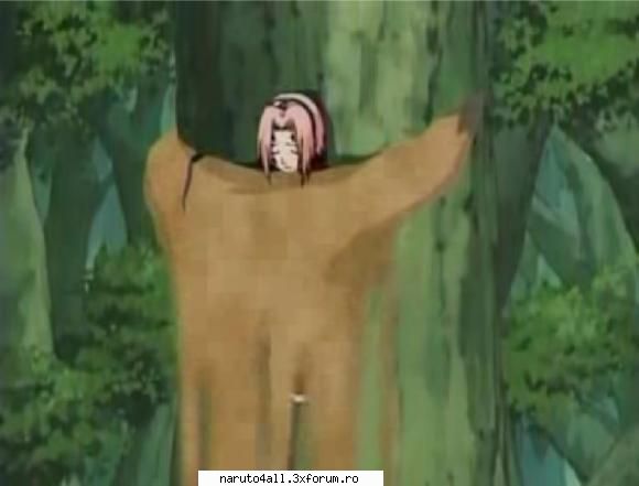 1.sakura poze cu sakura